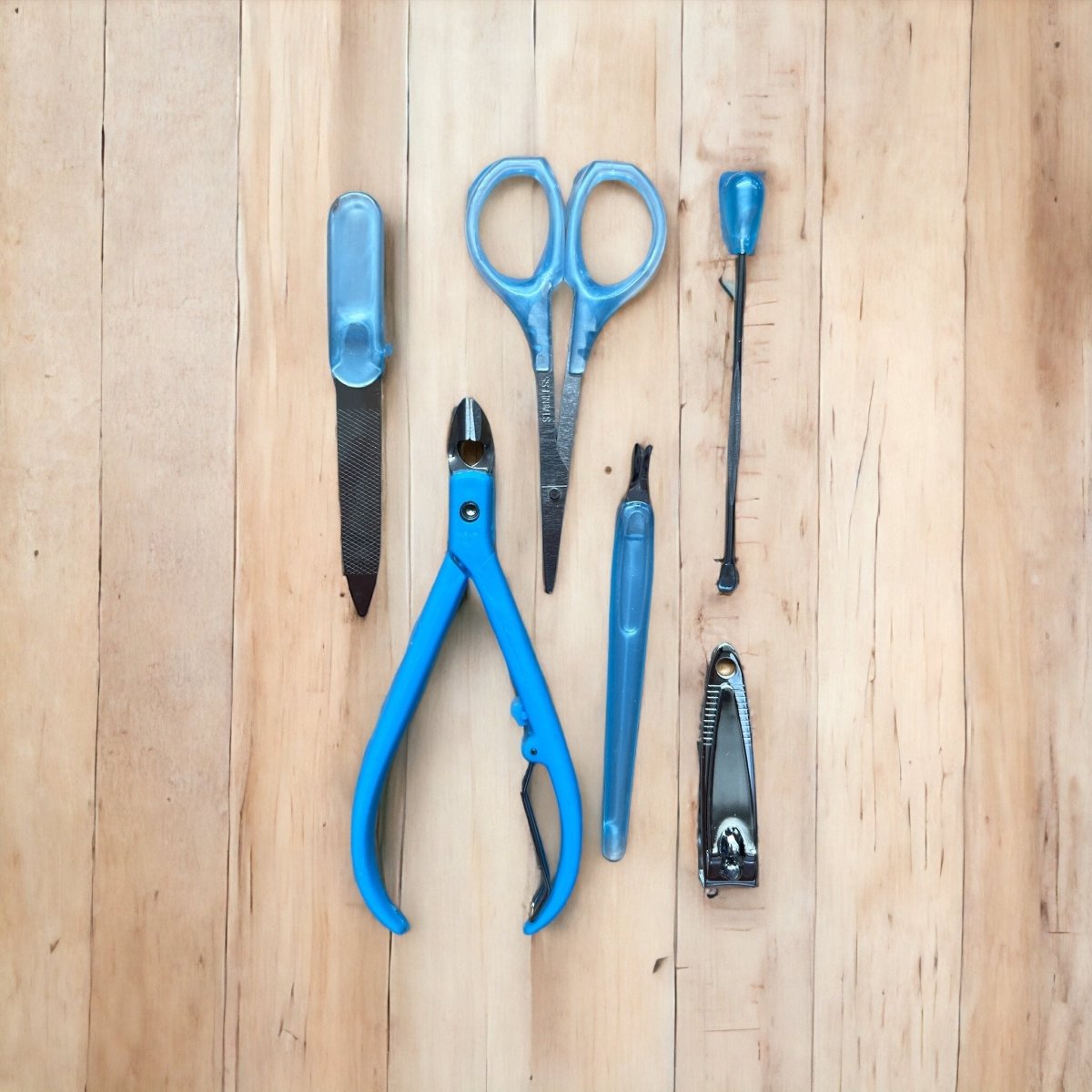 Parrot Wing Nail Care Kit photo