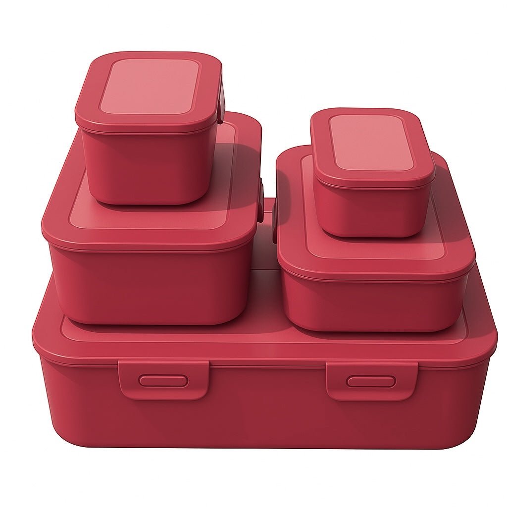 5PC CH Hinged Plastic Container Set - Home Phase