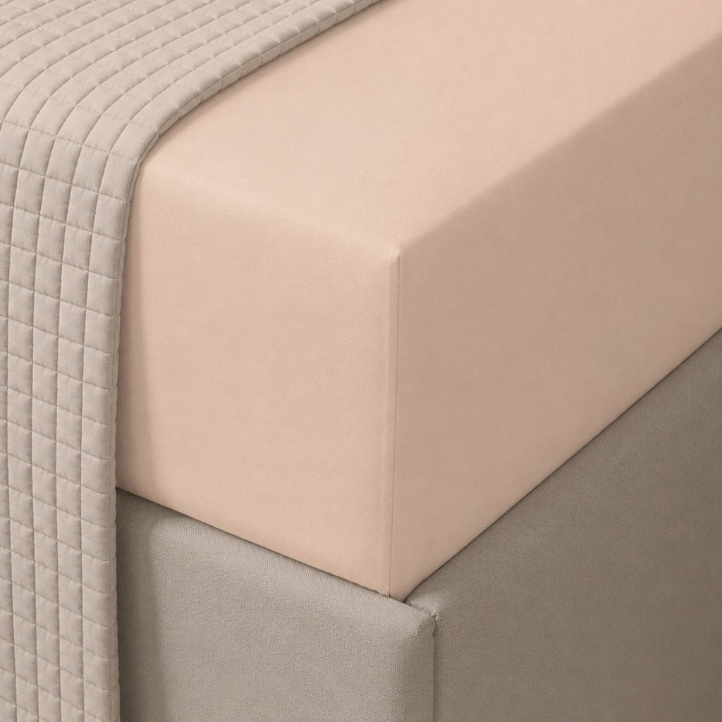 Casa 132TC Polycotton Fitted Sheet - Queen - Home Phase
