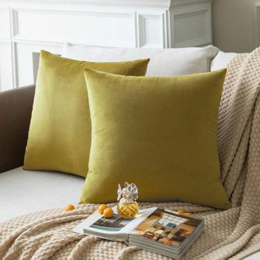 Danny Home Velvet Plush Scatter Cushion Cover - Style Phase Home