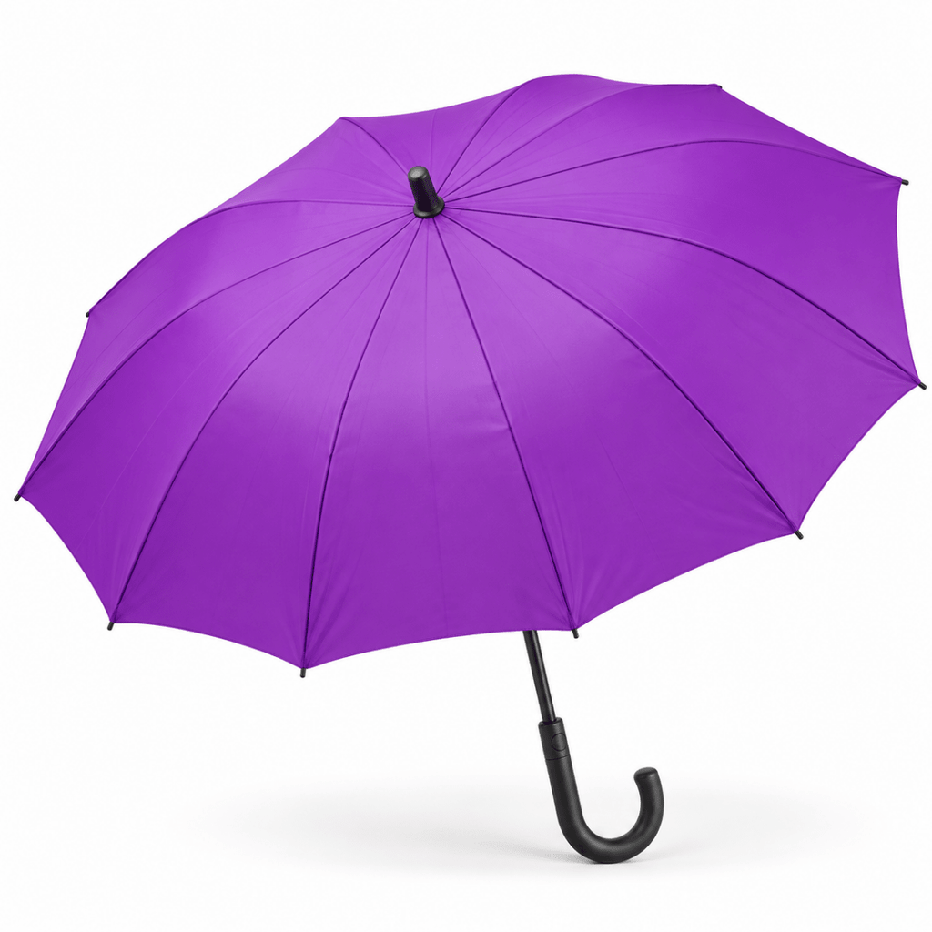 Large Plain Automatic Open Umbrella – Home Phase