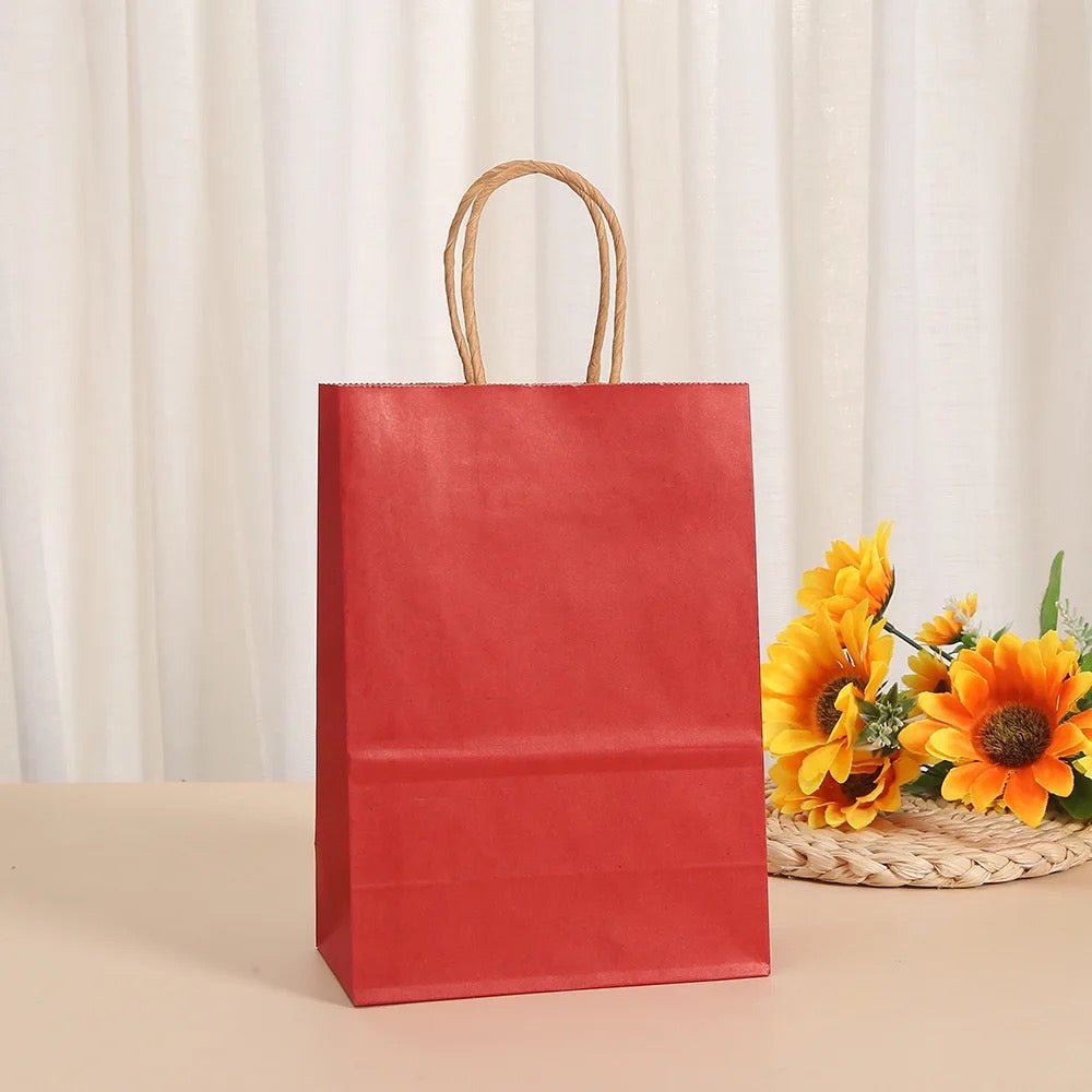 Plain Paper Gift Bag - Large - Style Phase Home